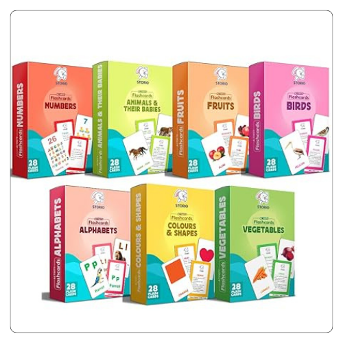 Rechargeable Educational Learning Talking Flash Cards