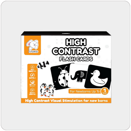 Rechargeable Educational Learning Talking Flash Cards