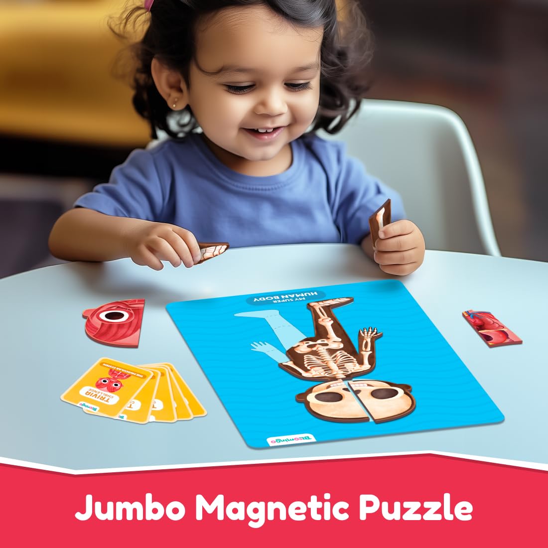 Bloomingo My Super Human Body Magnetic Puzzle Kit | Explore the Wonders of the Human Body with Fun Magnetic Layers | Learn About Skeleton, Muscles & Organs | Exciting Science Gift for Kids Age 5+