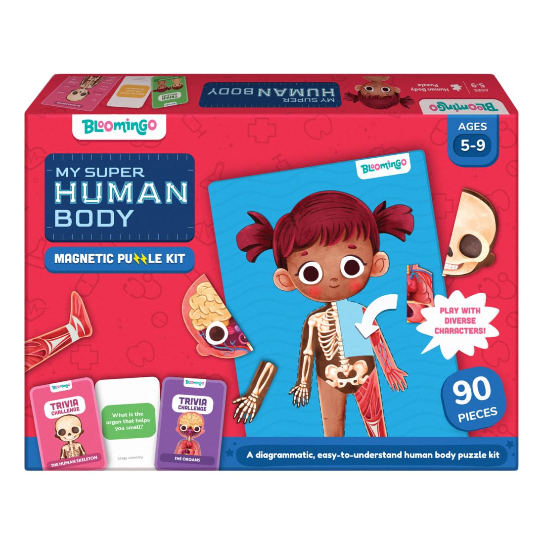 Bloomingo My Super Human Body Magnetic Puzzle Kit | Explore the Wonders of the Human Body with Fun Magnetic Layers | Learn About Skeleton, Muscles & Organs | Exciting Science Gift for Kids Age 5+