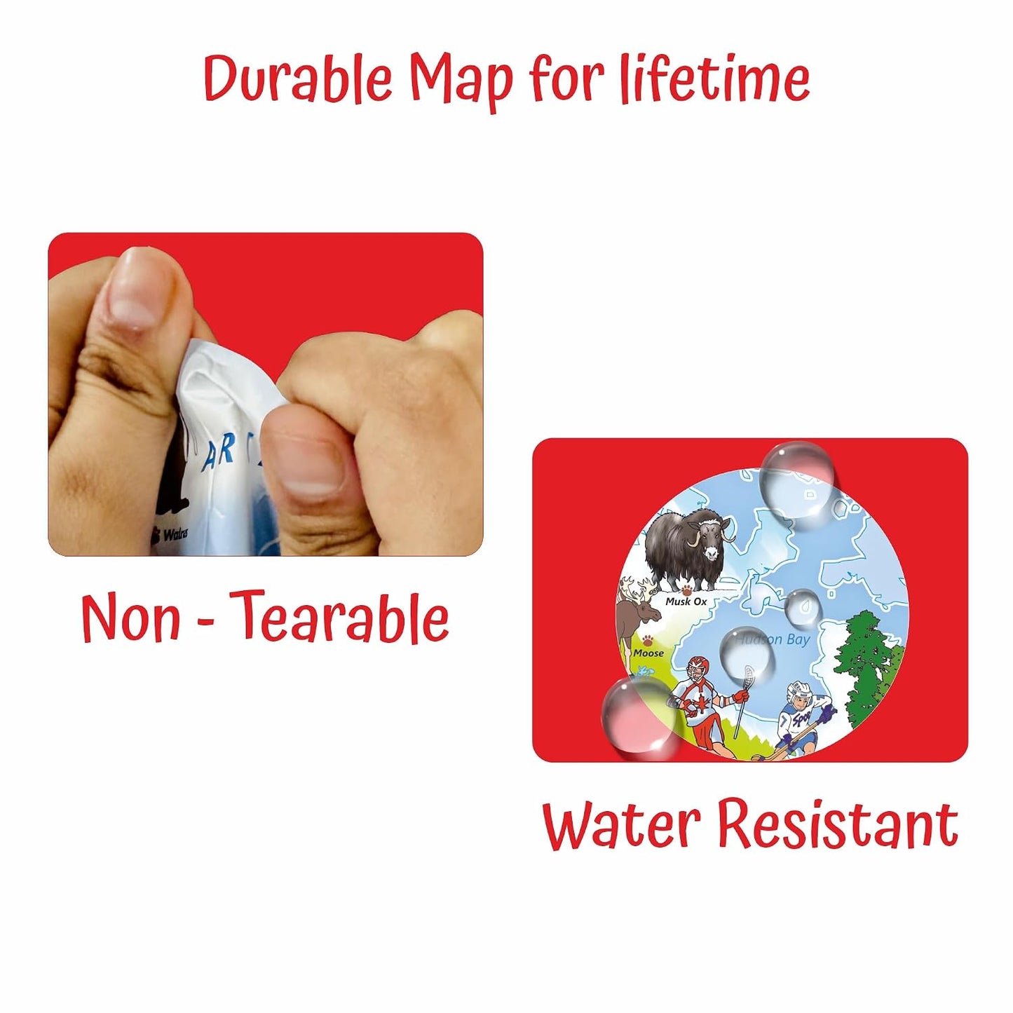 Geografika India Map Game with Flash Cards | Geography Game for Kids 5+ Years | Educational Toy | Birthday & Return Gift | Learn Capitals & Languages Spoken |ScreenFree Learning Activity
