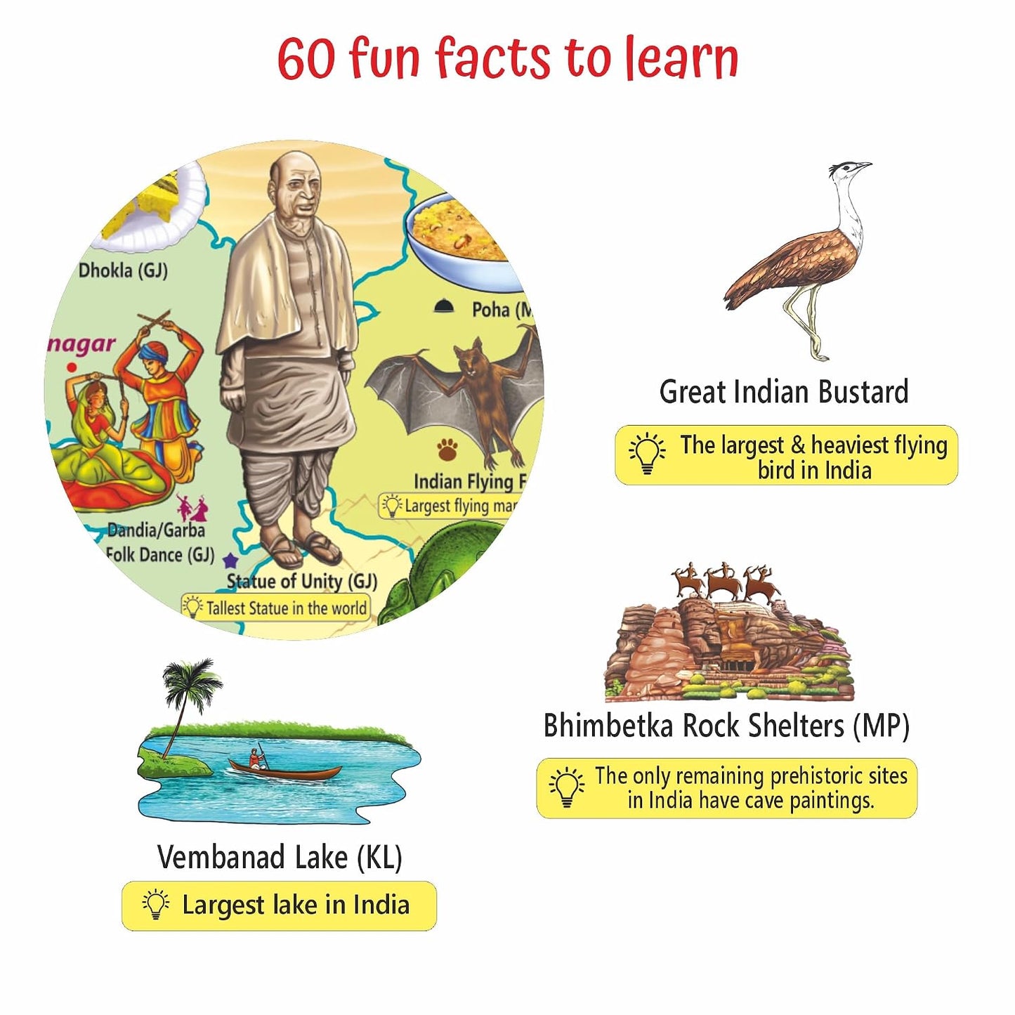Geografika India Map Game with Flash Cards | Geography Game for Kids 5+ Years | Educational Toy | Birthday & Return Gift | Learn Capitals & Languages Spoken |ScreenFree Learning Activity