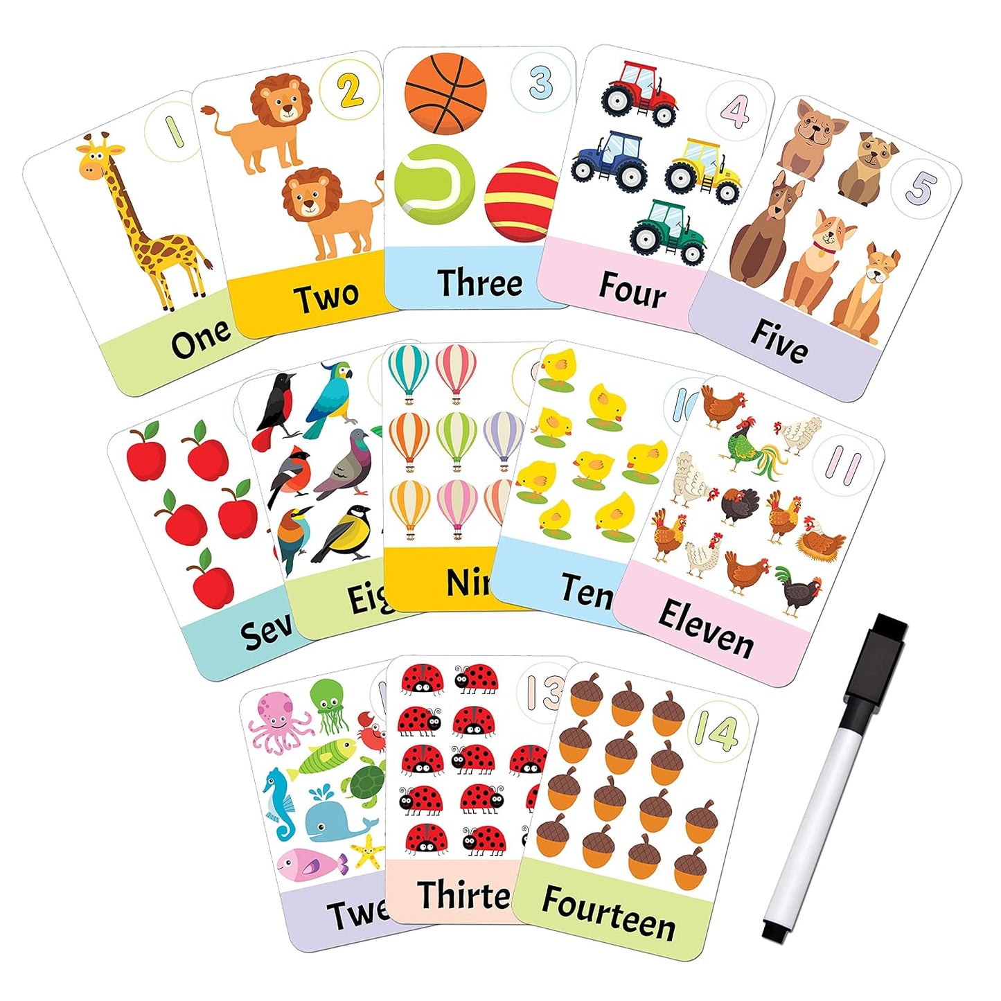 Flash Cards Numbers | 30 Double-Sided Wipe-Clean Flash Cards for Kids with Free Pen | Learn Counting & Number Recognition | Early Math Practice for Preschool & Kindergarten | Laminated, Durable Educational Cards