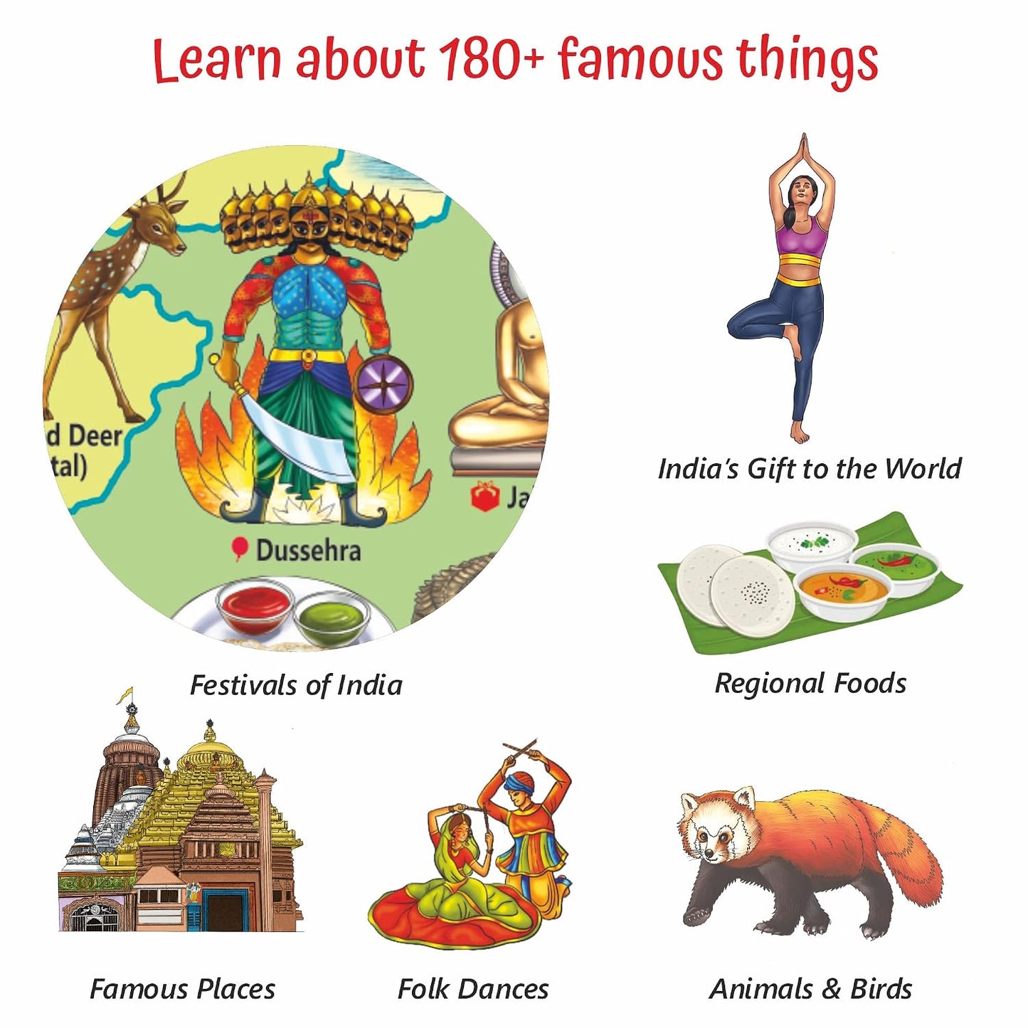 Geografika India Map Game with Flash Cards | Geography Game for Kids 5+ Years | Educational Toy | Birthday & Return Gift | Learn Capitals & Languages Spoken |ScreenFree Learning Activity